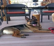 2015 Montana Misc 010